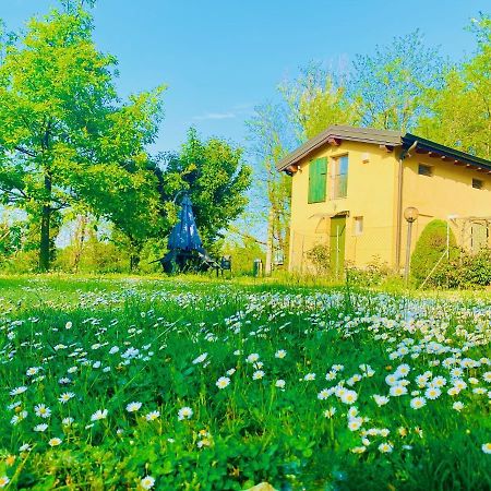 B&B Nido Sui Laghi San Donnino della Nizzola Dış mekan fotoğraf