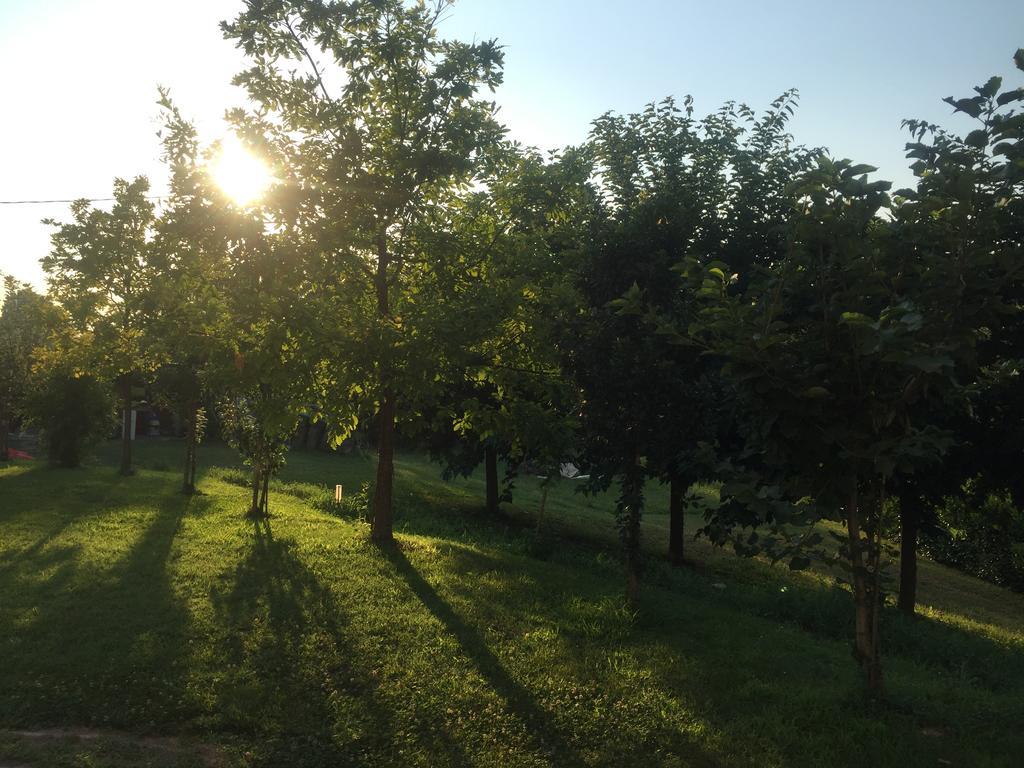 B&B Nido Sui Laghi San Donnino della Nizzola Dış mekan fotoğraf