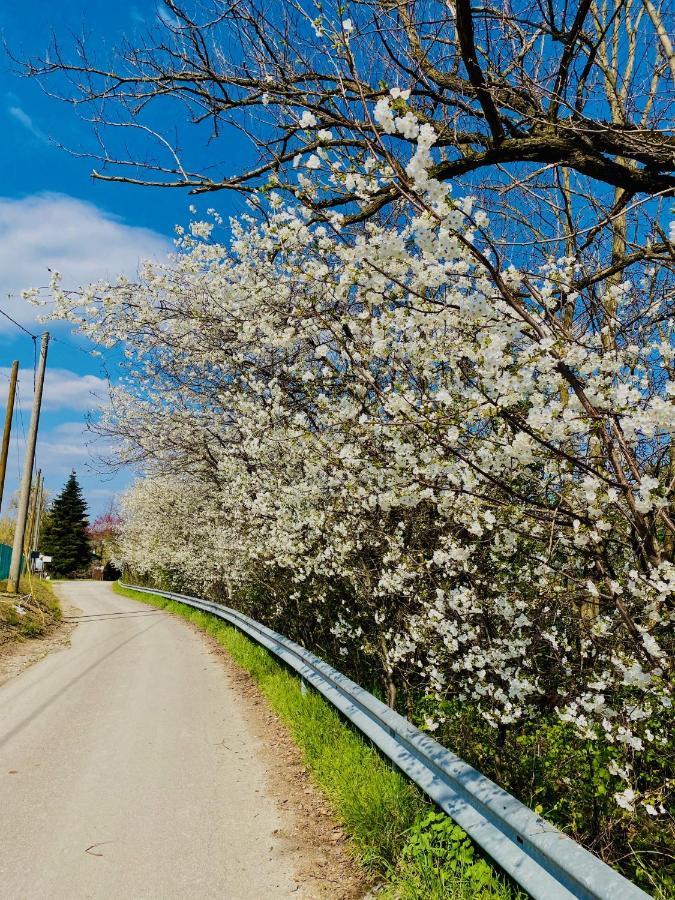 B&B Nido Sui Laghi San Donnino della Nizzola Dış mekan fotoğraf
